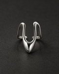 Flux ring